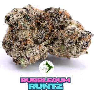 Bulk Premium THC-A Flower - Bubblegum Runtz 1oz
