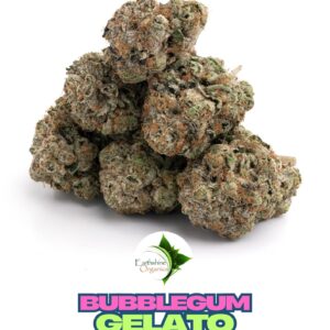 Bulk Premium THC-A Flower - Bubblegum Gelato 1oz