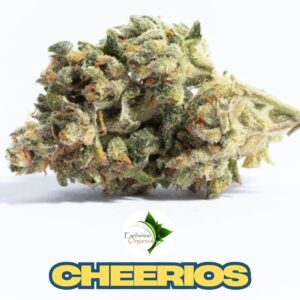 Cheerios THC-A Flower Bulk Hybrid Strain from Earthshine Organics