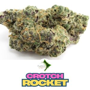 Bulk Premium THC-A Flower - Crotch Rocket 1oz 🚀