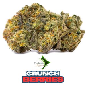 Bulk Premium THC-A Flower - Crunch Berries 1oz