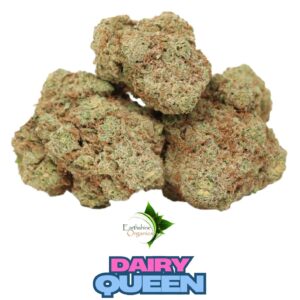 Bulk Premium THC-A Flower - Dairy Queen 1oz
