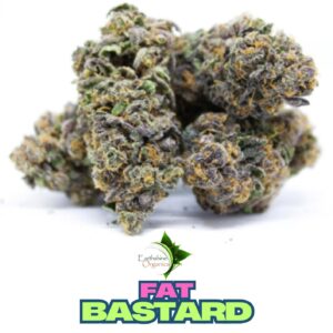 Bulk Premium THC-A Flower - Fat Bastard 1oz