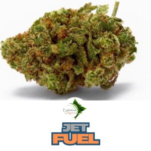 Bulk Premium THC-A Flower - Jet Fuel 1oz ⛽